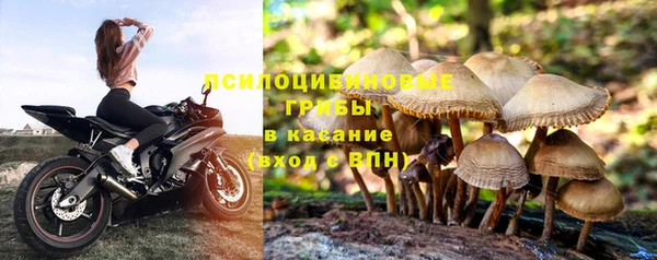 mix Абинск