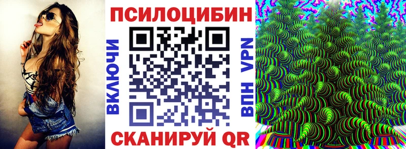Галлюциногенные грибы MAGIC MUSHROOMS  блэк спрут ссылка  Судогда 